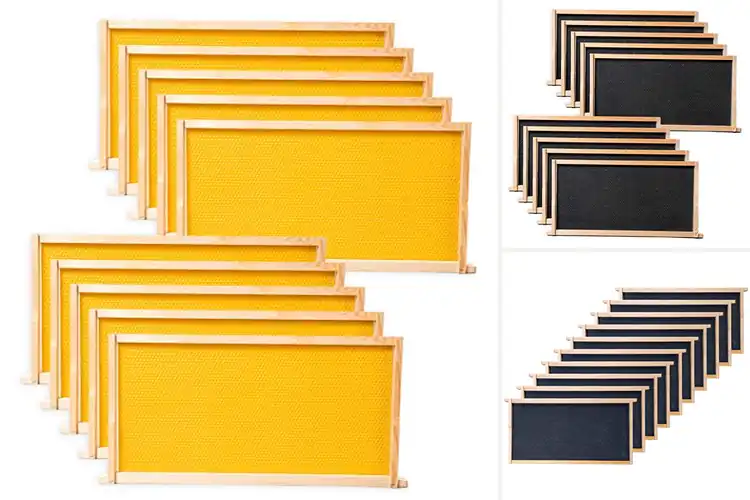 Detailed view of Best Deep Langstroth Frames 10 Packs