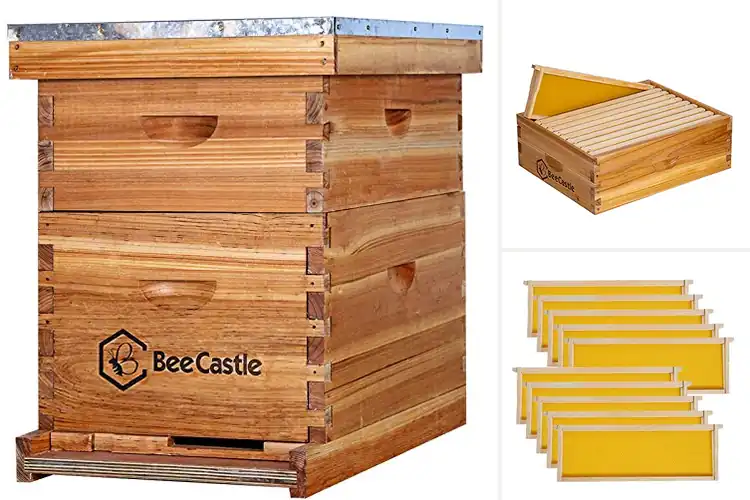 Detailed view of Best Easy To Assemble Bee Frames for Faster, Organized Hives