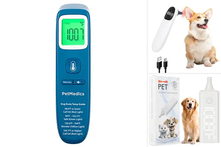 Detailed view of Best Pet Ear Thermometers