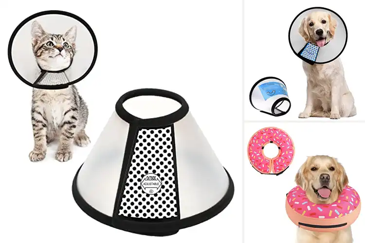 Detailed view of Best Pet Recovery Cones: Top 10 Comfort Picks
