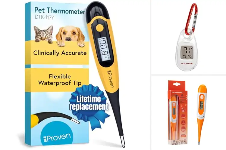 Detailed view of Best Portable Pet Thermometers