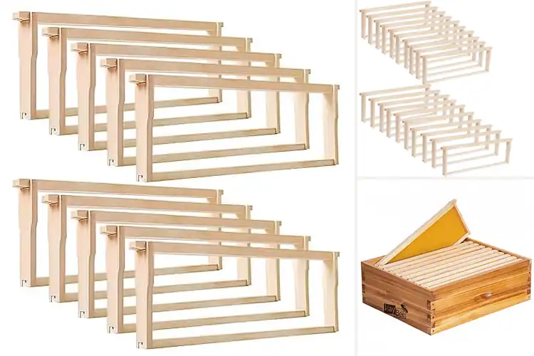Detailed view of Best Premium Quality Langstroth Frames
