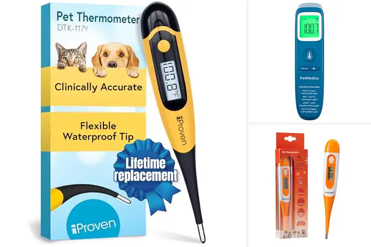 Detailed view of Best Safe Pet Thermometers – Top 10 to Keep Pets Healthy
